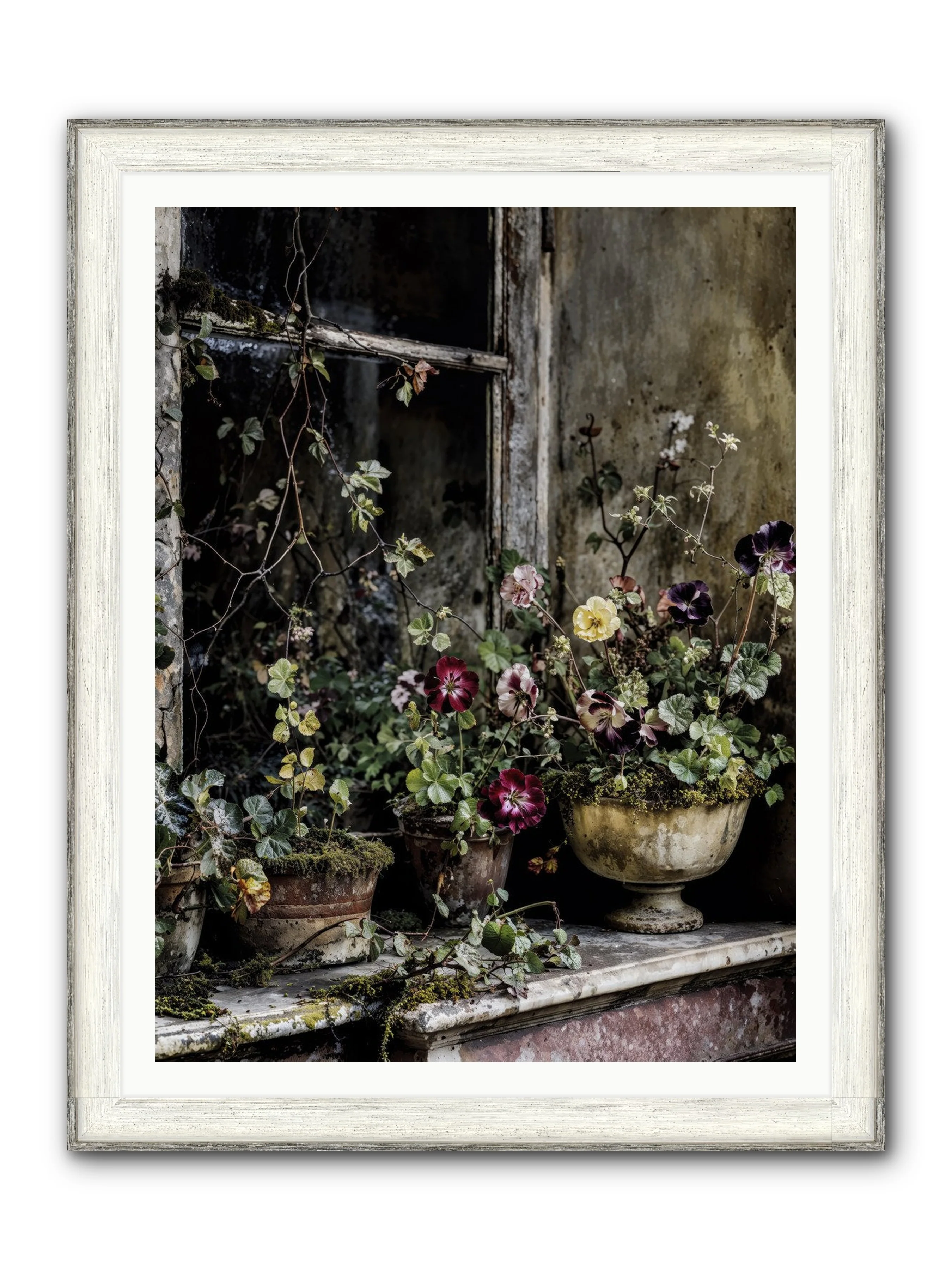 Product image 50